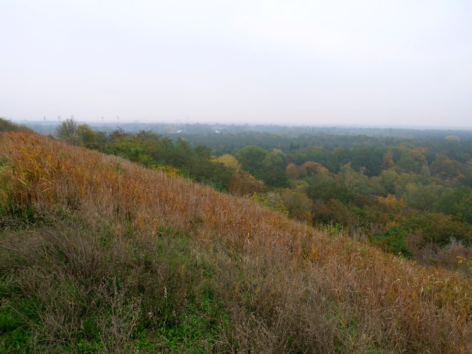 View from Drachenberg 2019-10-24 24