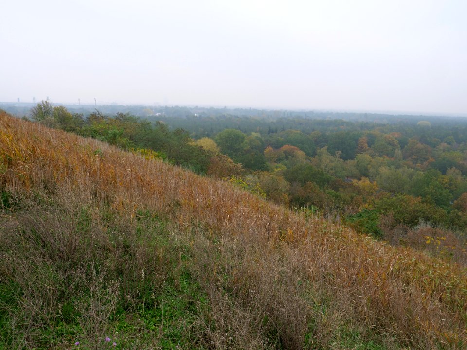 View from Drachenberg 2019-10-24 25