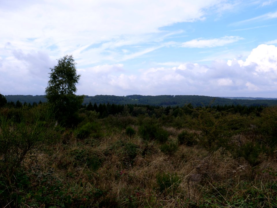 View from trail from Gierberg to Müsauelsberg in September 2019 01