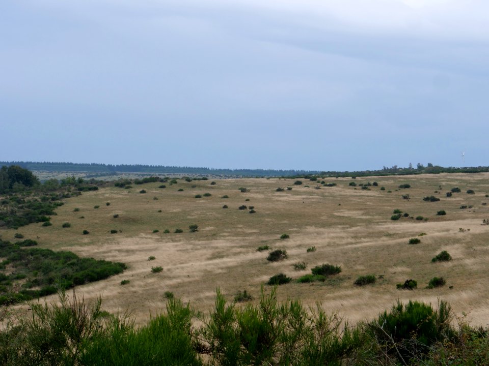 View from trail from Gierberg to Müsauelsberg in September 2019 07