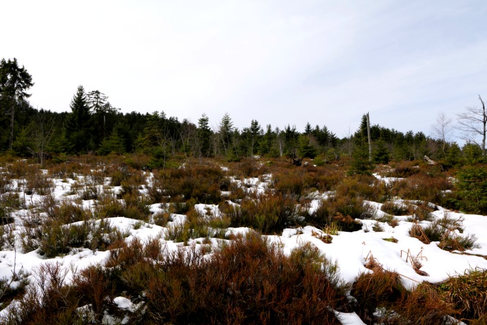 View from track Unterstmatt to Ochsenstall 2020-03-14 18