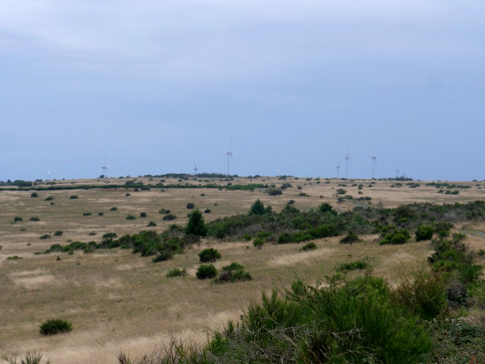View from trail from Gierberg to Müsauelsberg in September 2019 10