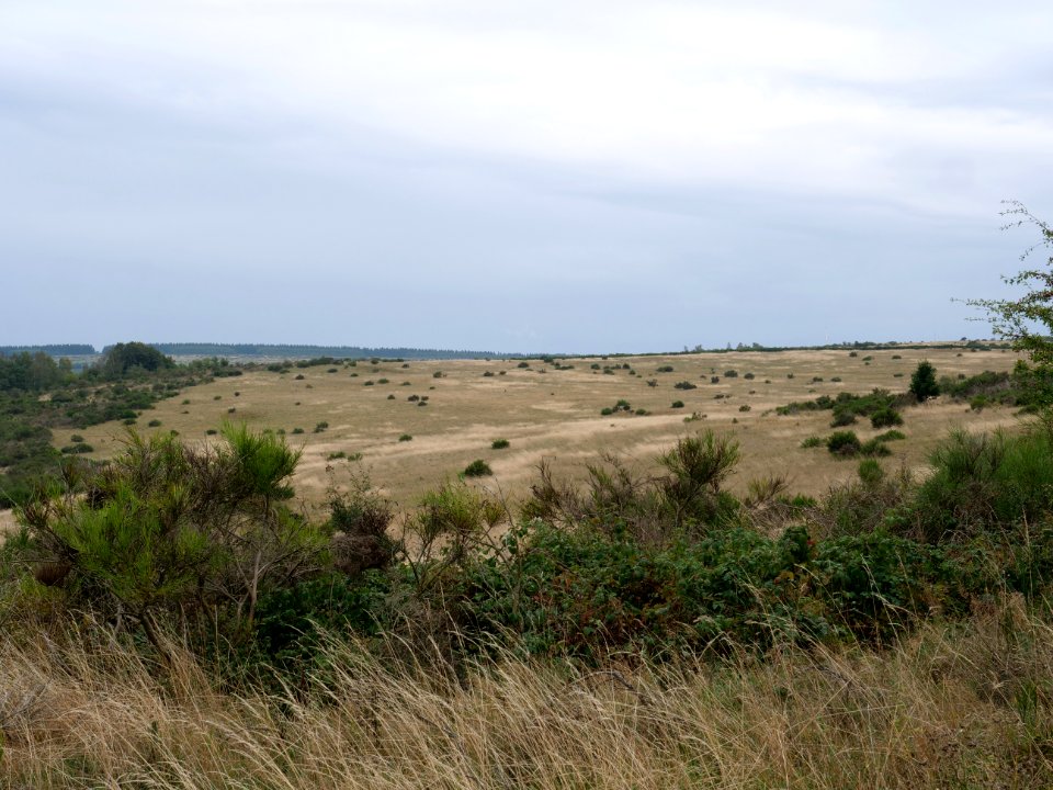 View from trail from Gierberg to Müsauelsberg in September 2019 13