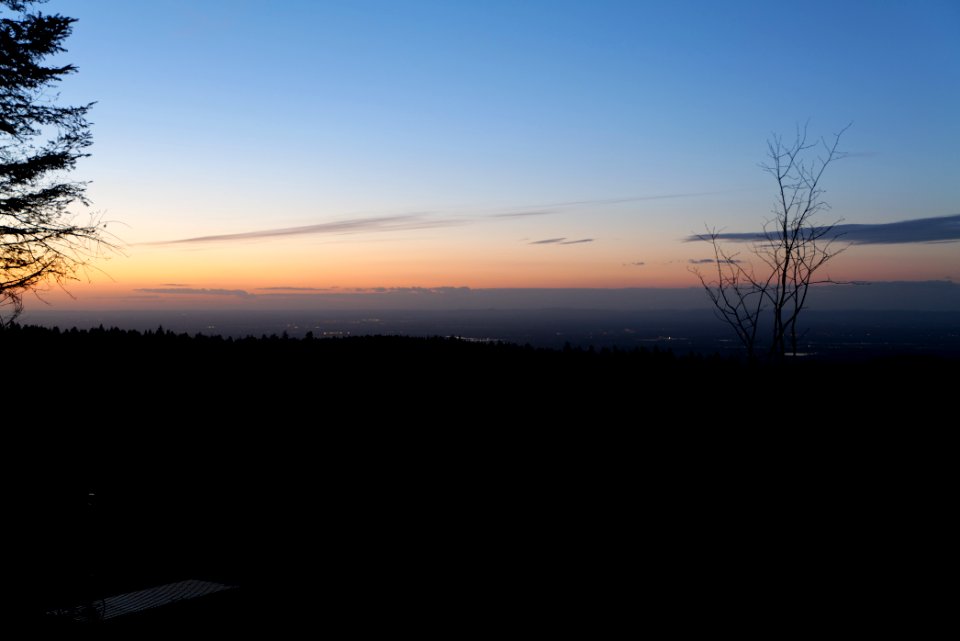 View from Mehliskopf 2020-03-13 30