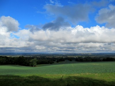 View from Crook Rd, Brenchley 02