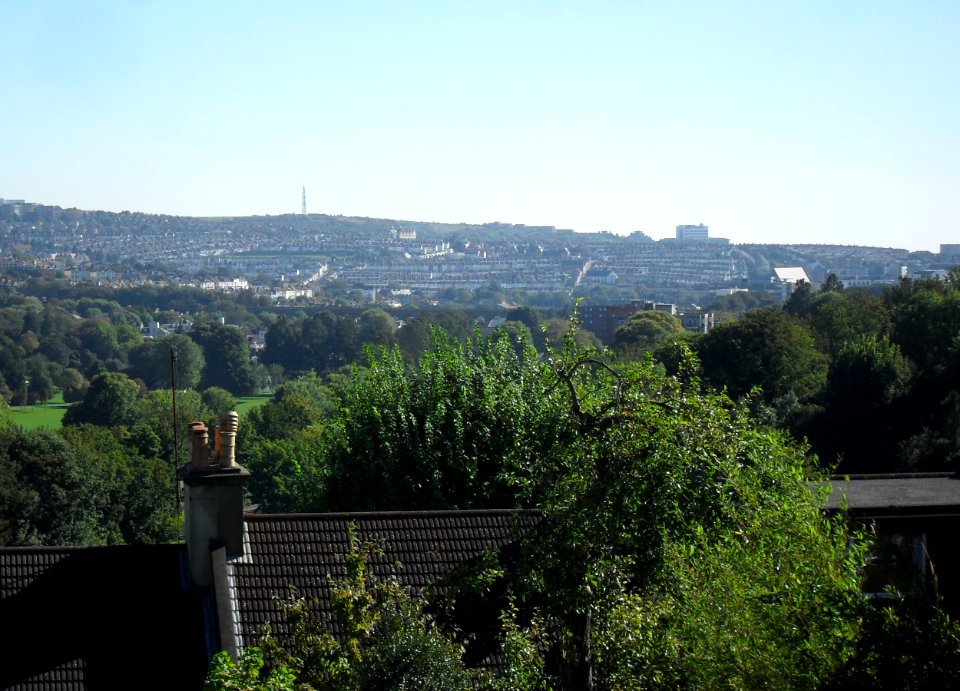 View from Tivoli Crescent, Preston Village, Brighton (October 2010) (Looking SE towards Viaduct)