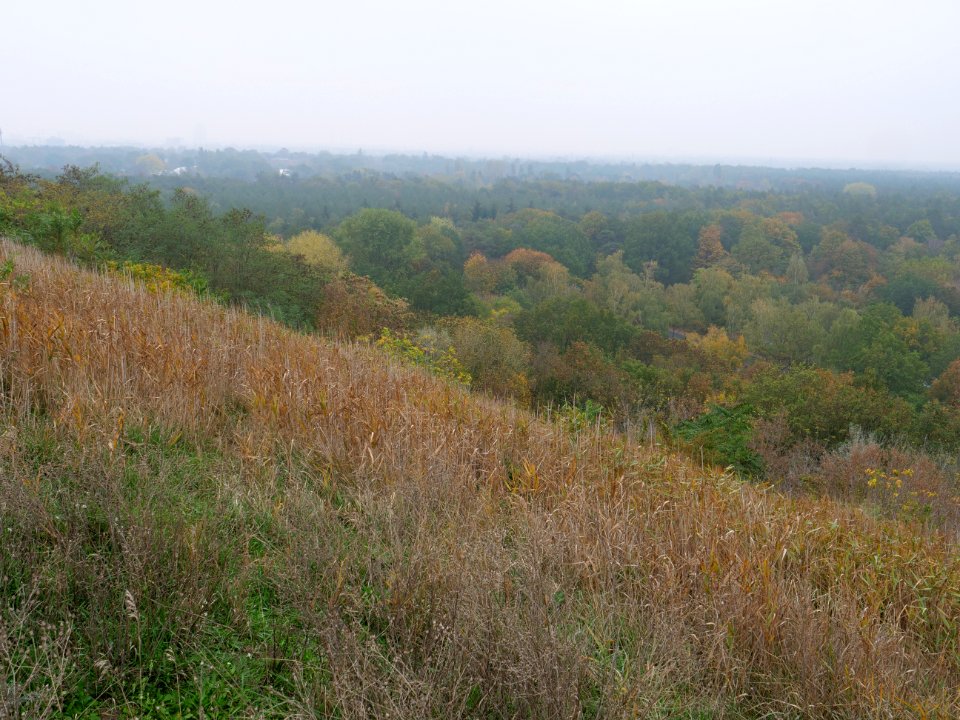 View from Drachenberg 2019-10-24 26