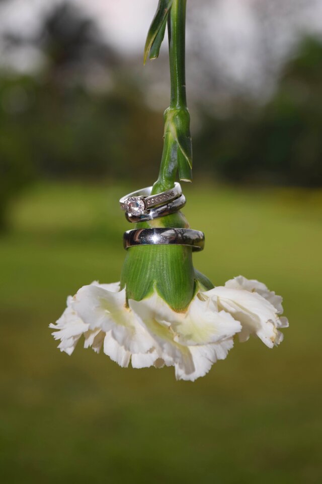 Marriage wedding rings commitment