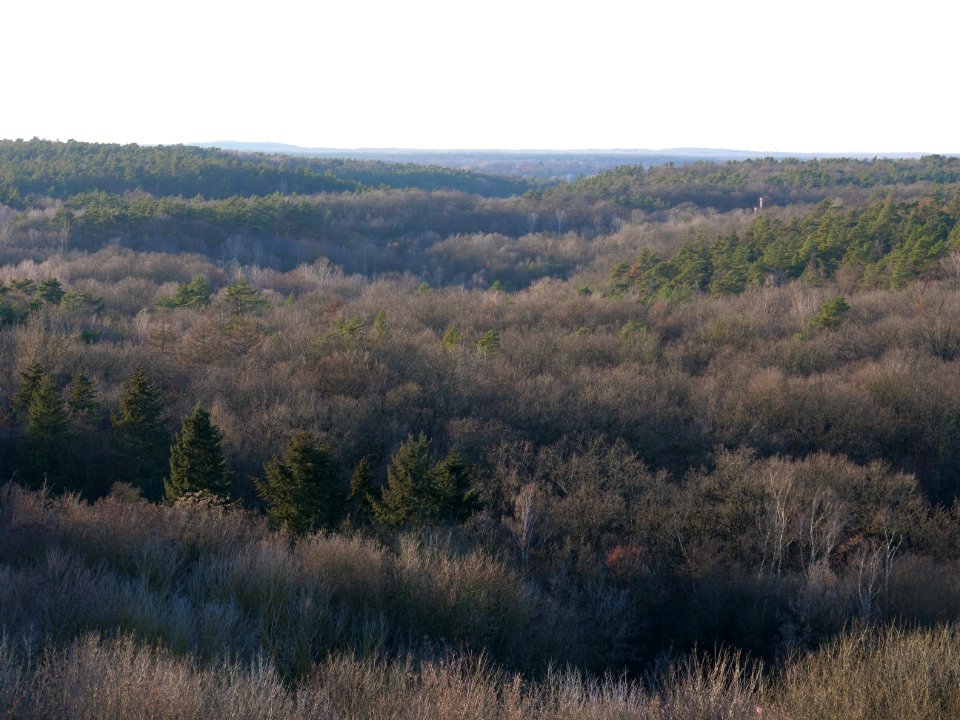 View from Drachenberg on 2019-12-18 36