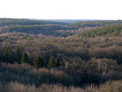 View from Drachenberg on 2019-12-18 36