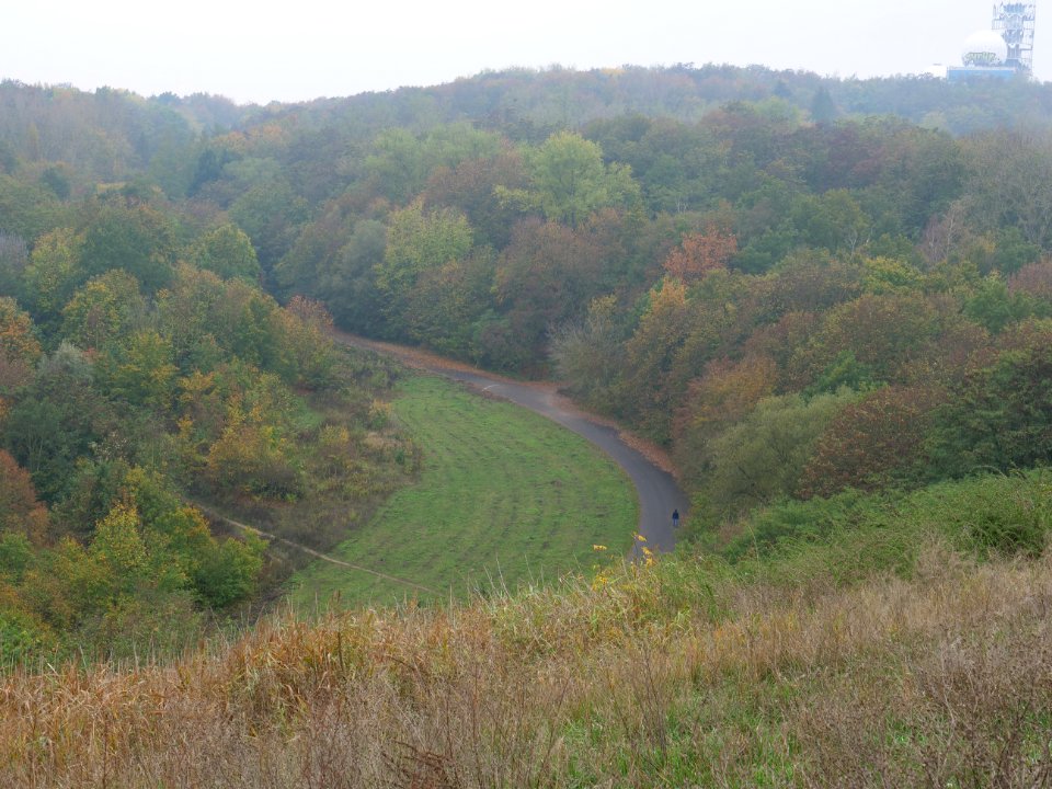 View from Drachenberg 2019-10-24 28