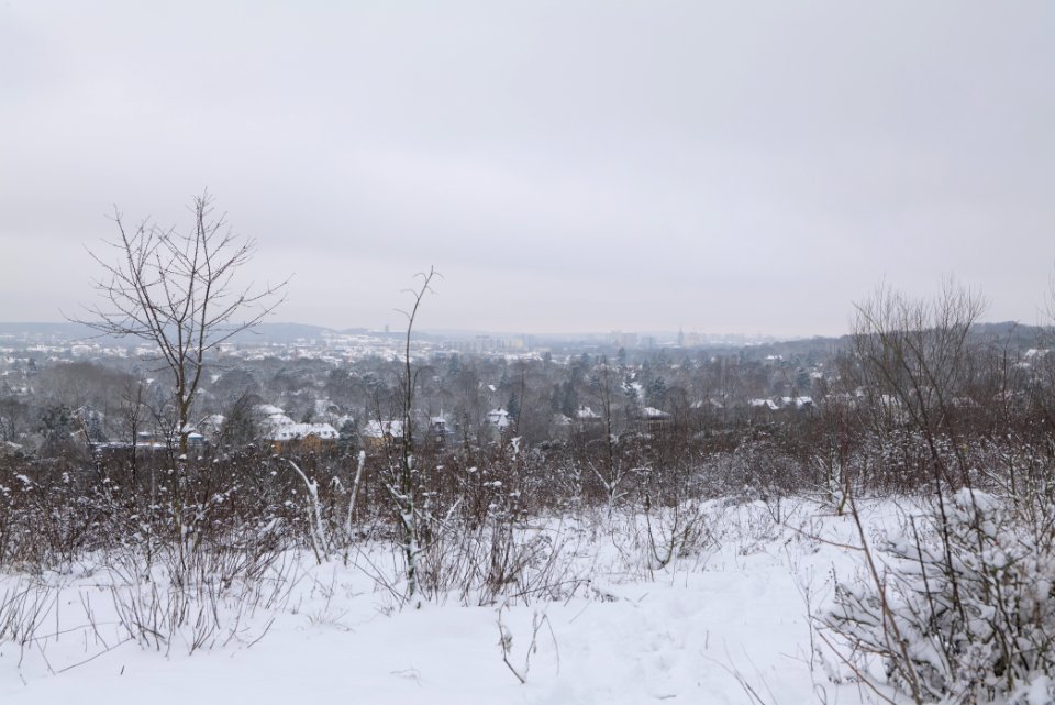 View from Deponie Wannsee with snow 2021-01-30 16