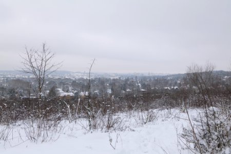 View from Deponie Wannsee with snow 2021-01-30 16