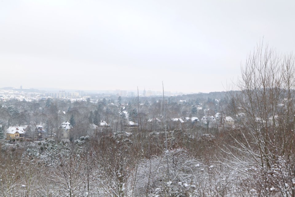 View from Deponie Wannsee with snow 2021-01-30 11