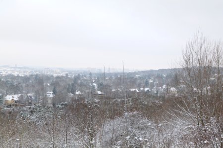 View from Deponie Wannsee with snow 2021-01-30 11