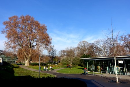 View from entry - Wilhelma Zoo - Stuttgart, Germany - DSC01698