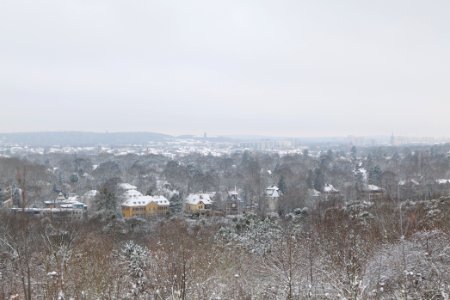View from Deponie Wannsee with snow 2021-01-30 17
