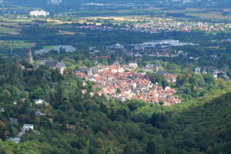 View from Dettweiler Tempel Burghain Falkenstein 2020-08-18 01