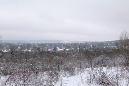 View from Deponie Wannsee with snow 2021-01-30 14