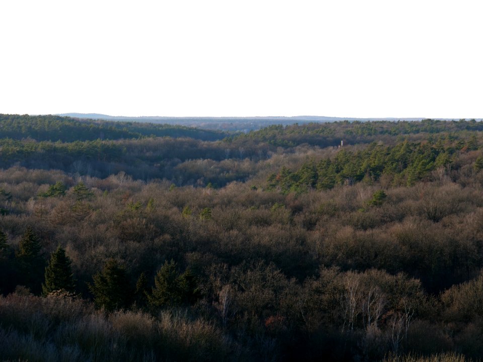 View from Drachenberg on 2019-12-18 34