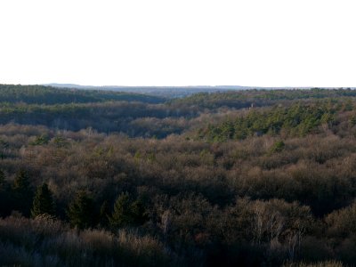 View from Drachenberg on 2019-12-18 34