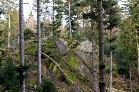 View from Eulenstein 2020-03-14 16