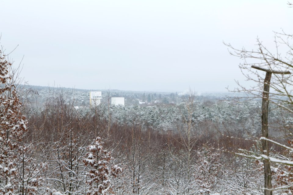 View from Deponie Wannsee with snow 2021-01-30 02