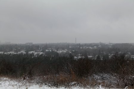 View from Drachenberg Berlin with snow 2021-01-03 06
