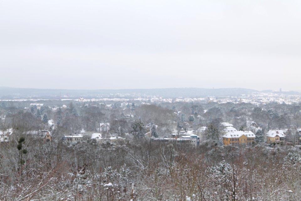 View from Deponie Wannsee with snow 2021-01-30 08