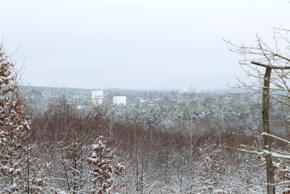 View from Deponie Wannsee with snow 2021-01-30 01