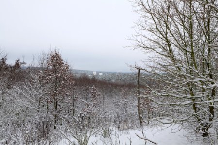 View from Deponie Wannsee with snow 2021-01-30 03
