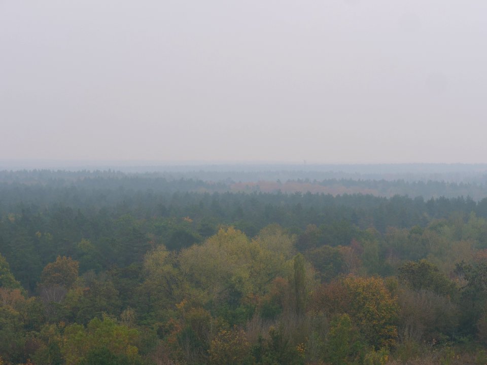 View from Drachenberg 2019-10-24 17