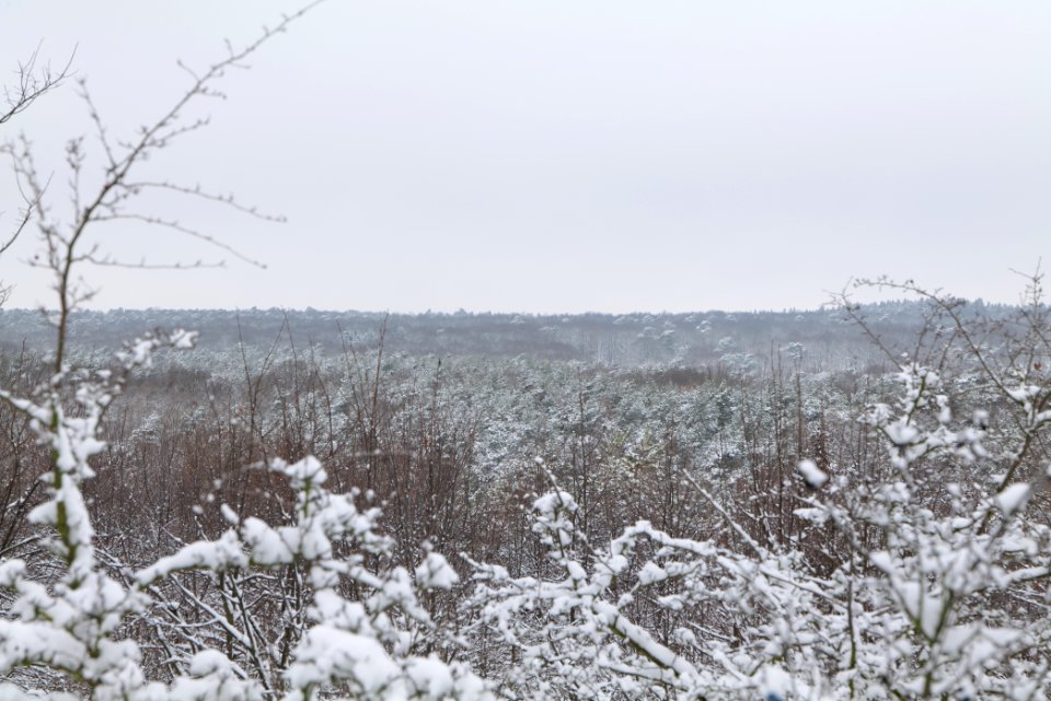View from Deponie Wannsee with snow 2021-01-30 04