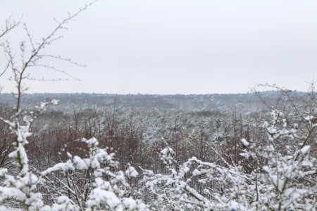 View from Deponie Wannsee with snow 2021-01-30 04