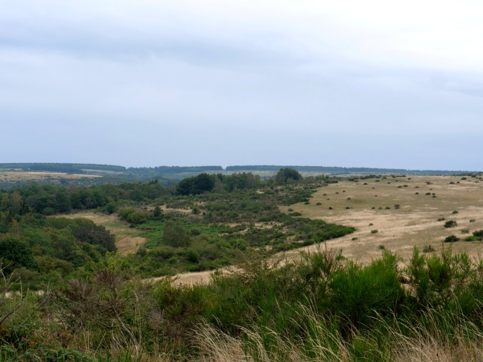 View from trail from Gierberg to Müsauelsberg in September 2019 04