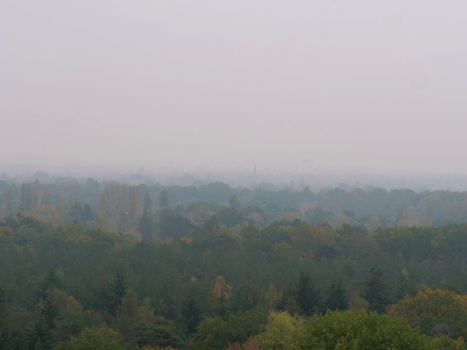 View from Drachenberg 2019-10-24 15