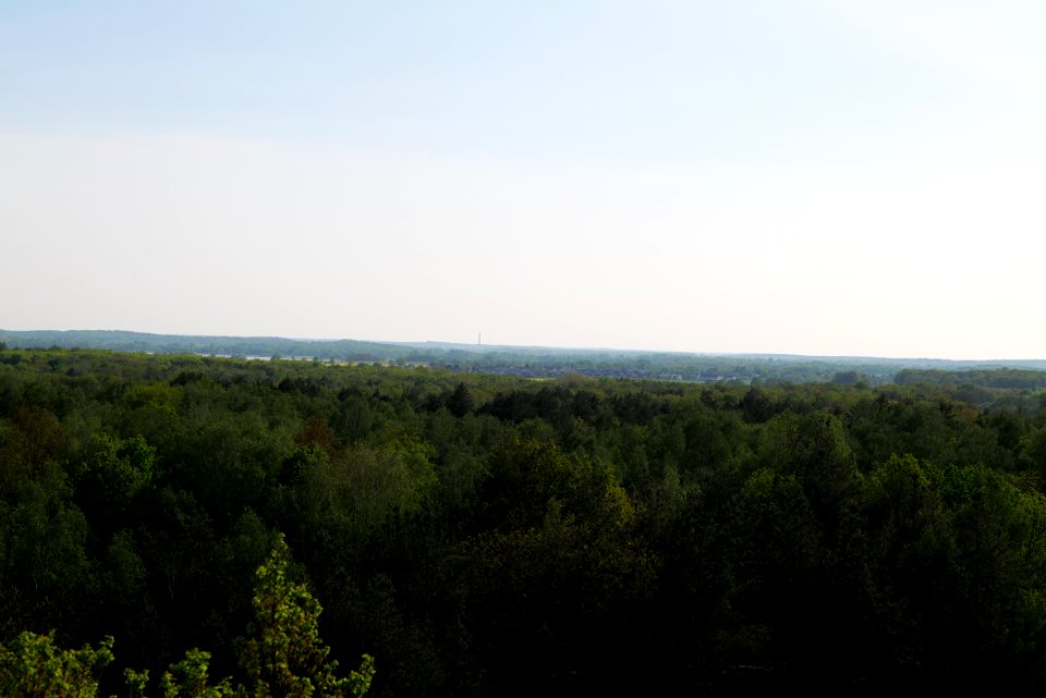 View from Döberitzer Heide Finkenberg observation tower 2020-05-08 25
