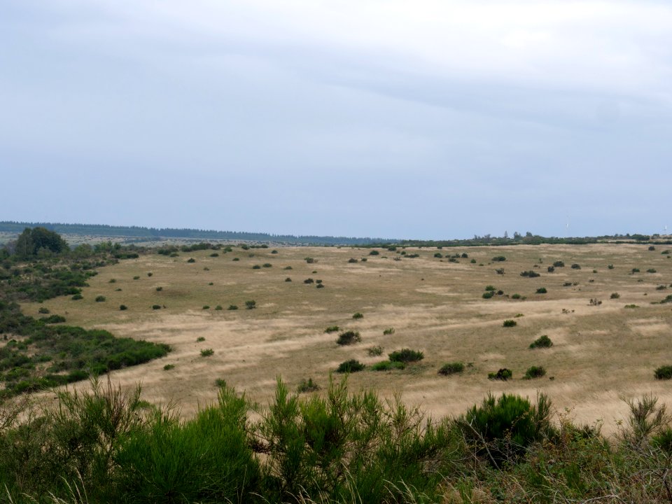 View from trail from Gierberg to Müsauelsberg in September 2019 05