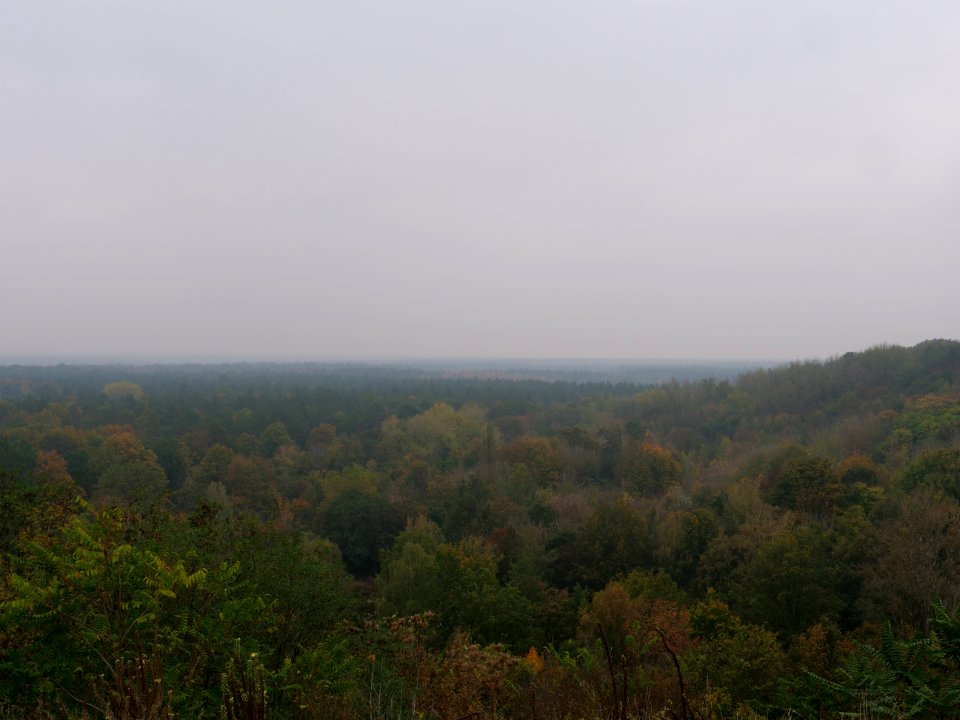 View from Drachenberg 2019-10-24 19
