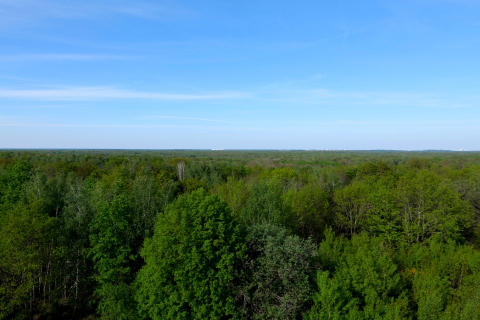 View from Döberitzer Heide Finkenberg observation tower 2020-05-08 21