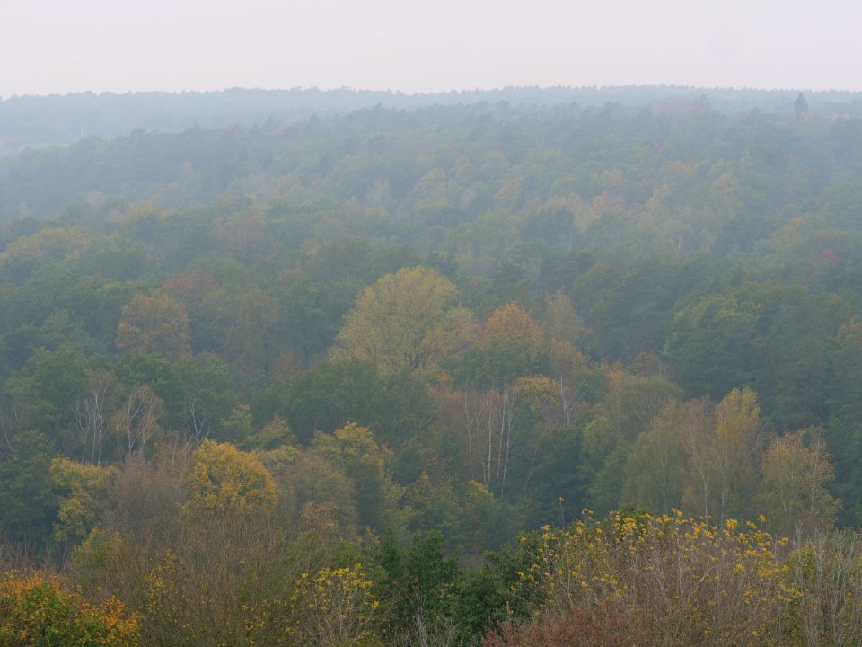 View from Drachenberg 2019-10-24 39