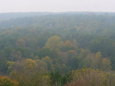 View from Drachenberg 2019-10-24 39