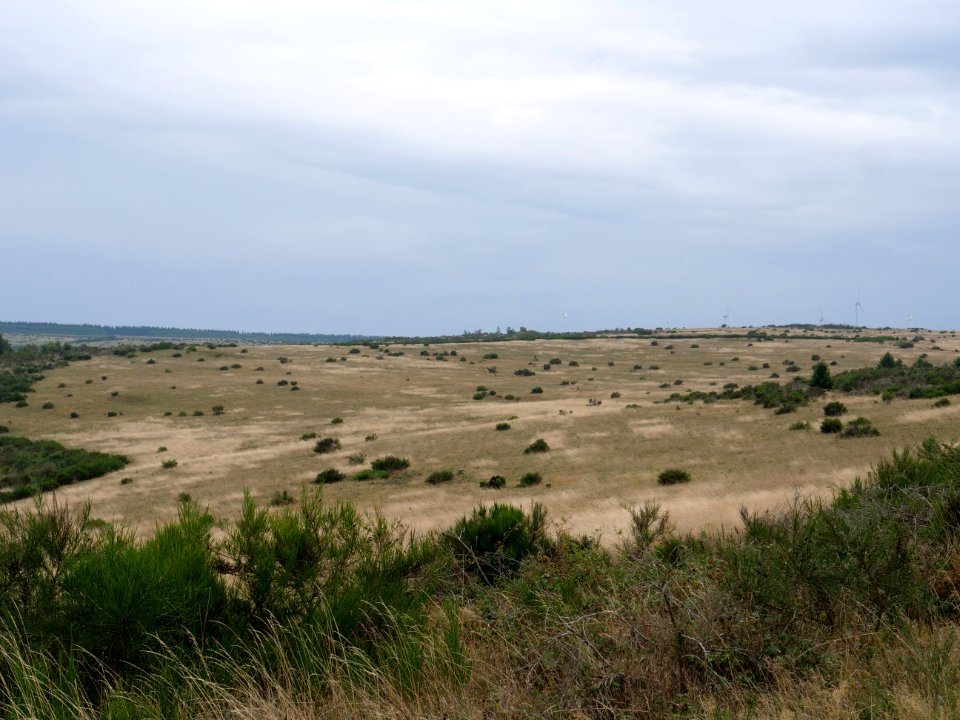 View from trail from Gierberg to Müsauelsberg in September 2019 09
