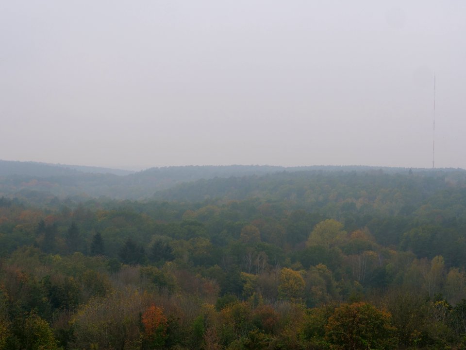 View from Drachenberg 2019-10-24 35