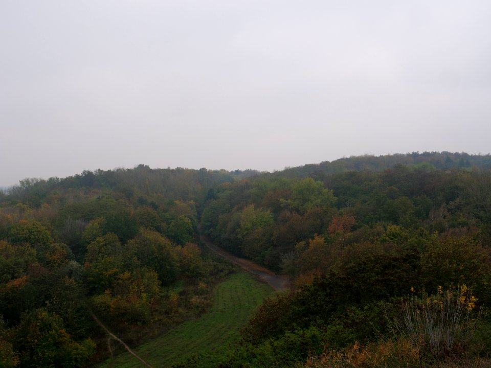 View from Drachenberg 2019-10-24 32