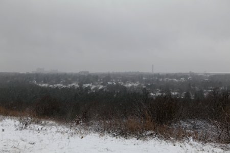 View from Drachenberg Berlin with snow 2021-01-03 05