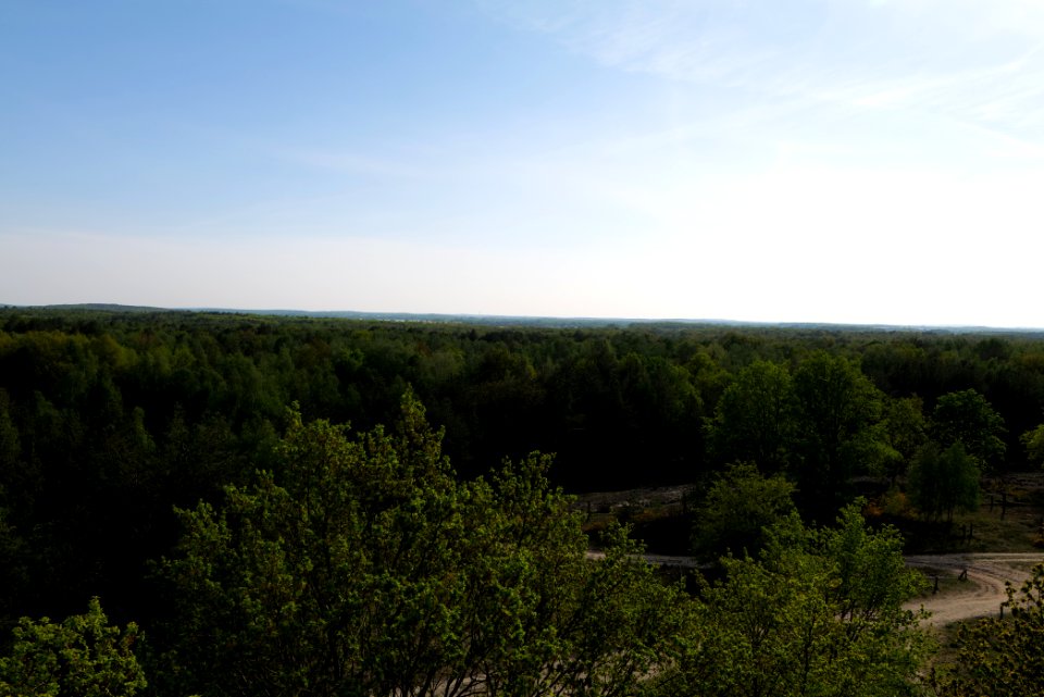 View from Döberitzer Heide Finkenberg observation tower 2020-05-08 24