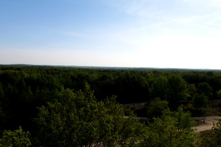 View from Döberitzer Heide Finkenberg observation tower 2020-05-08 24