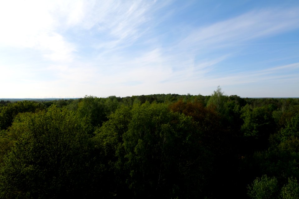 View from Döberitzer Heide Finkenberg observation tower 2020-05-08 22