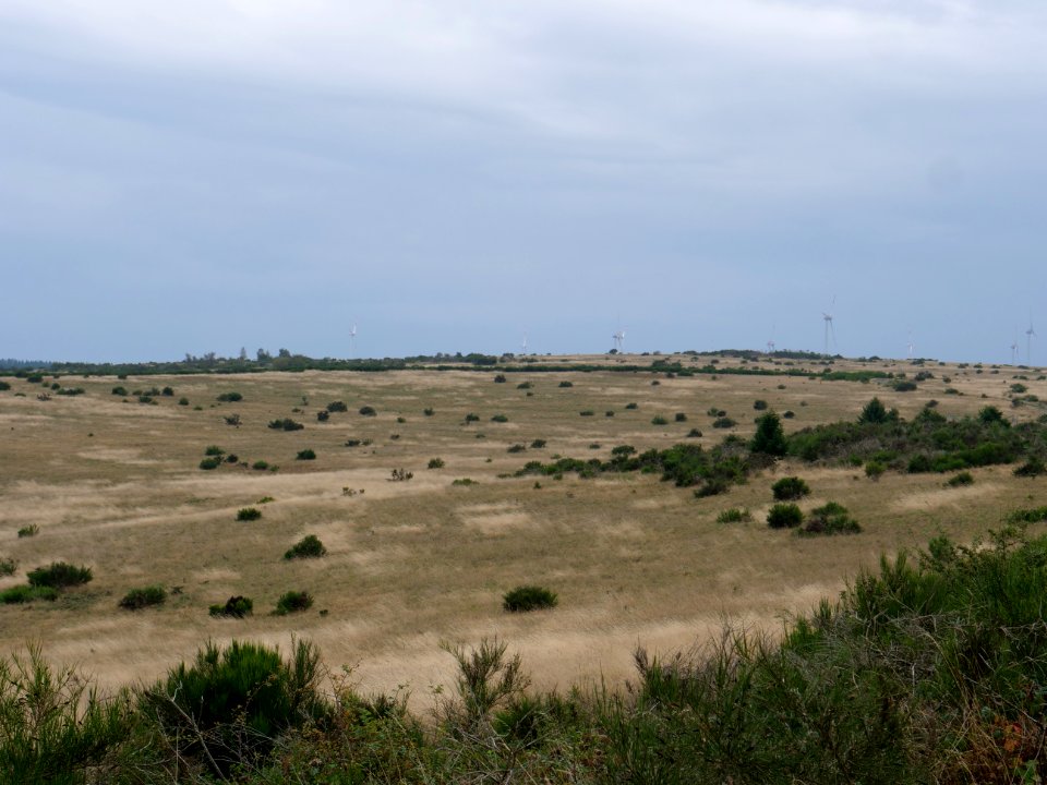 View from trail from Gierberg to Müsauelsberg in September 2019 08